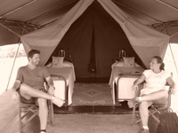 Safari - Campo tendato